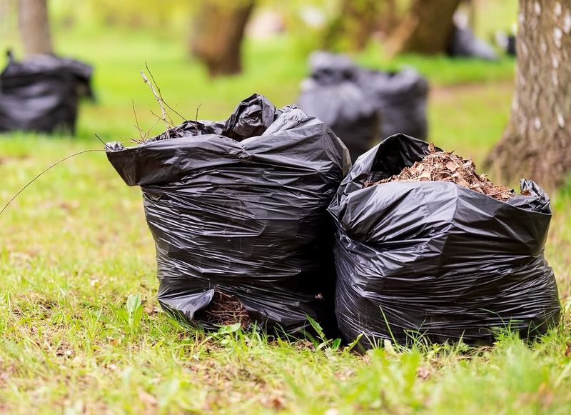 Ignoring Leaf Litter And Yard Debris