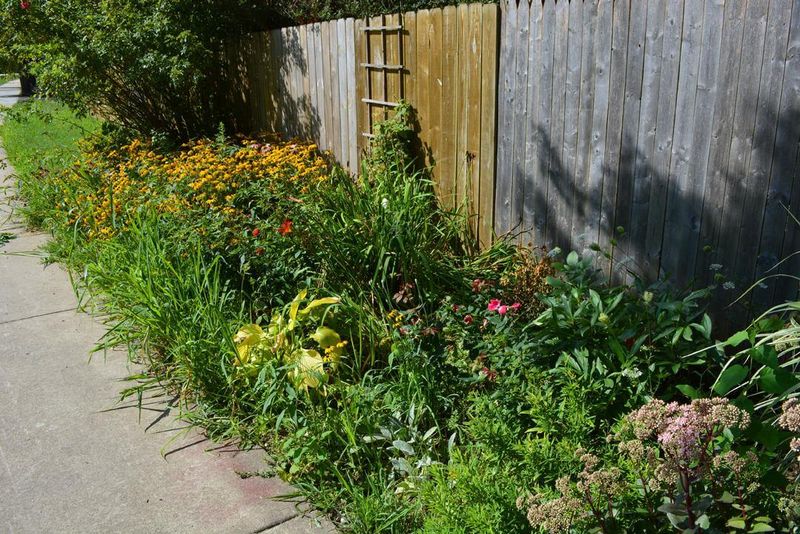 Ignoring Overgrown Vegetation