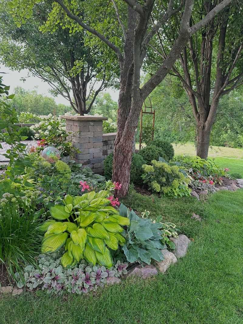Ignoring Shade Around Decks And Patios