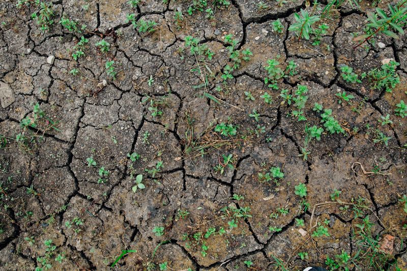 Ignoring Soil Problems Ignoring Soil Problems