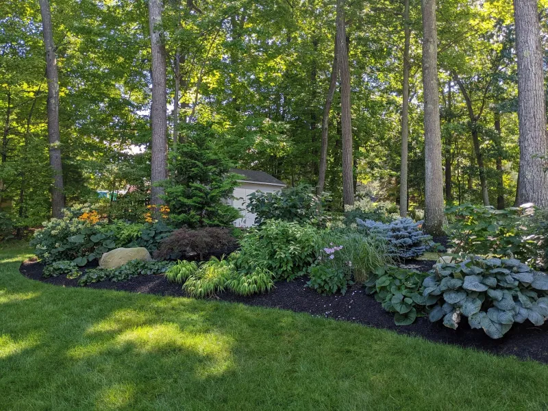 Ignoring Sunny Buffer Zones Between Woods And Lawn Increases Tick Contact
