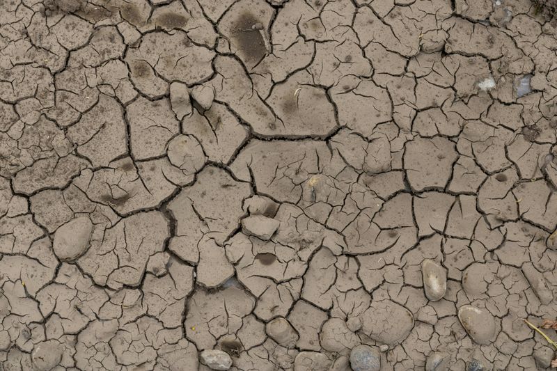 Ignoring What Your Soil Is Actually Doing Ignoring What Your Soil Is Actually Doing