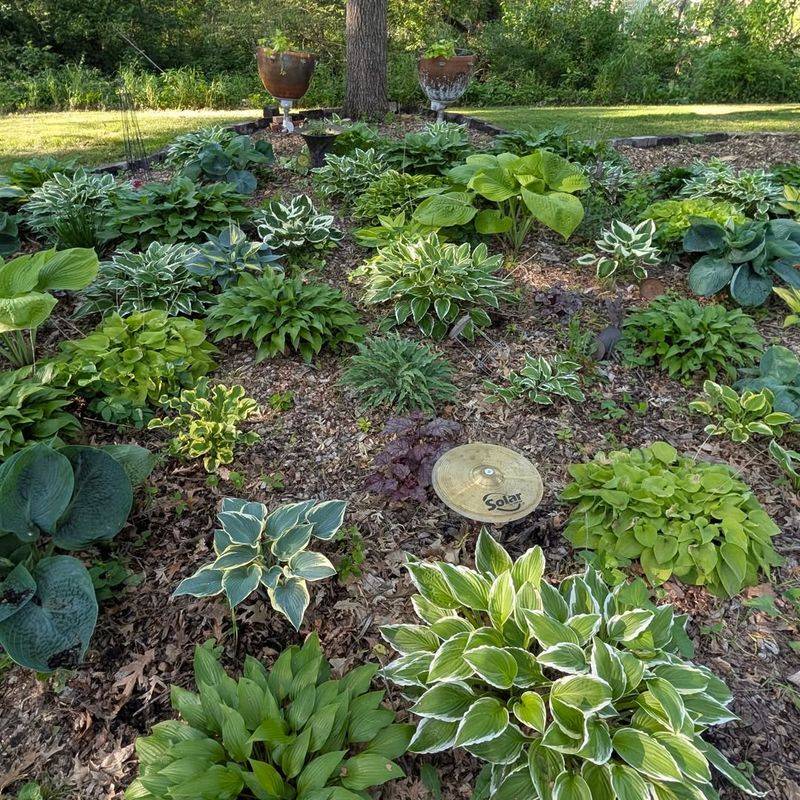 Improve Airflow Around Dense Plantings Improve Airflow Around Dense Plantings