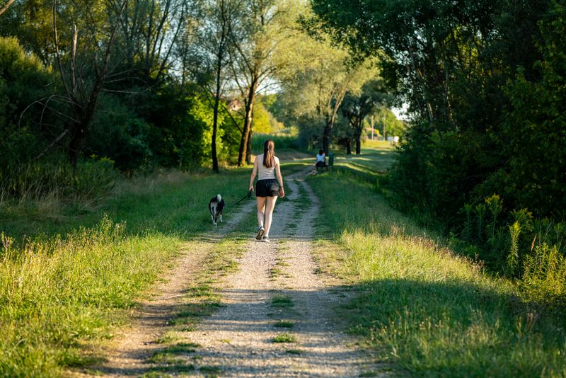Increased Outdoor Activity In Tick Zones Increased Outdoor Activity In Tick Zones