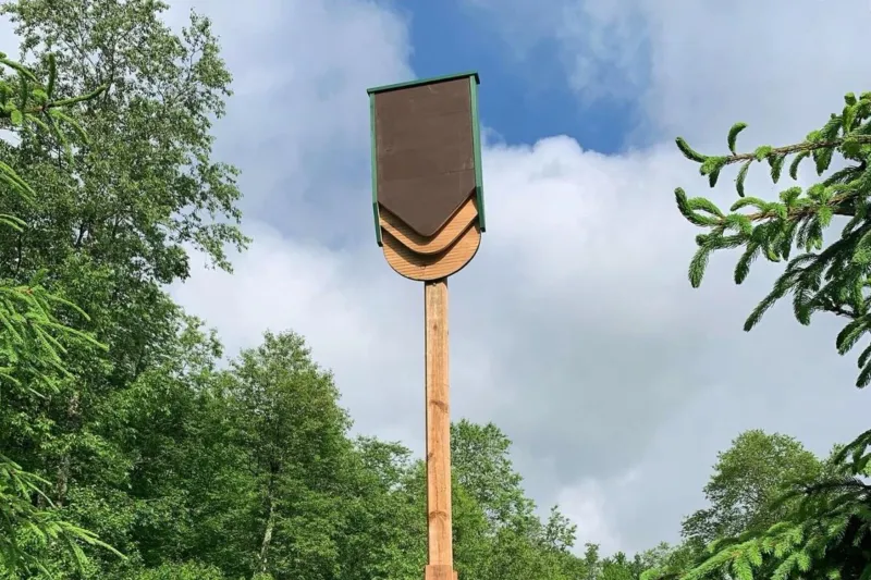 Install A Bat House In The Right Spot