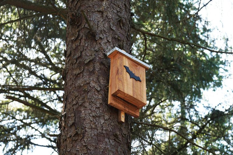 Install A Bat House
