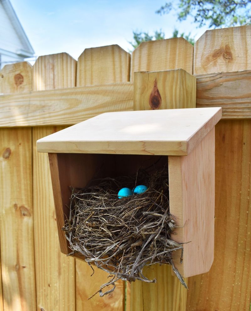 Install Bat Houses In Sunny, Elevated Locations