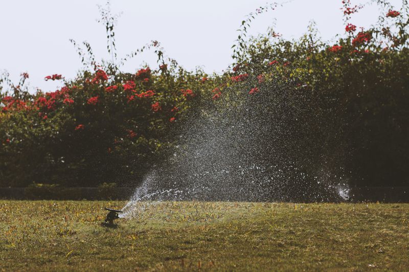 Install Motion Activated Lights Or Sprinklers Around The Yard Install Motion Activated Lights Or Sprinklers Around The Yard