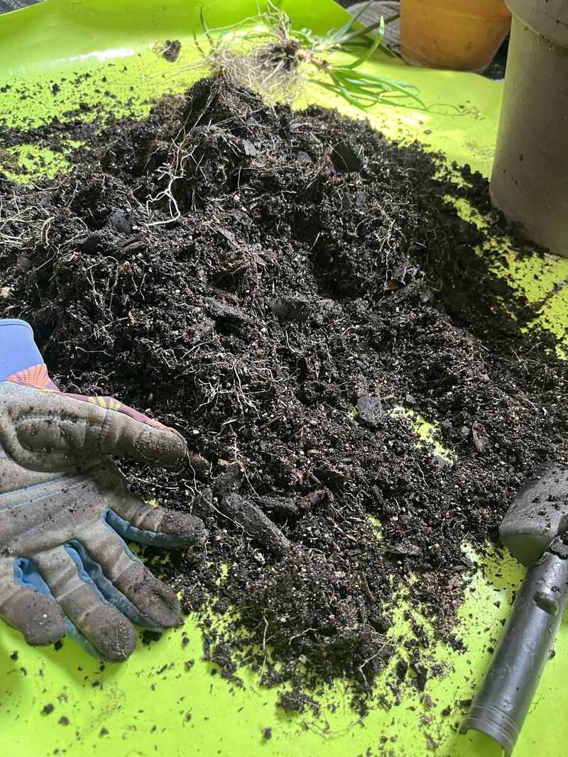 Keep It Out Of Seed Trays And Use It Outdoors Instead Keep It Out Of Seed Trays And Use It Outdoors Instead