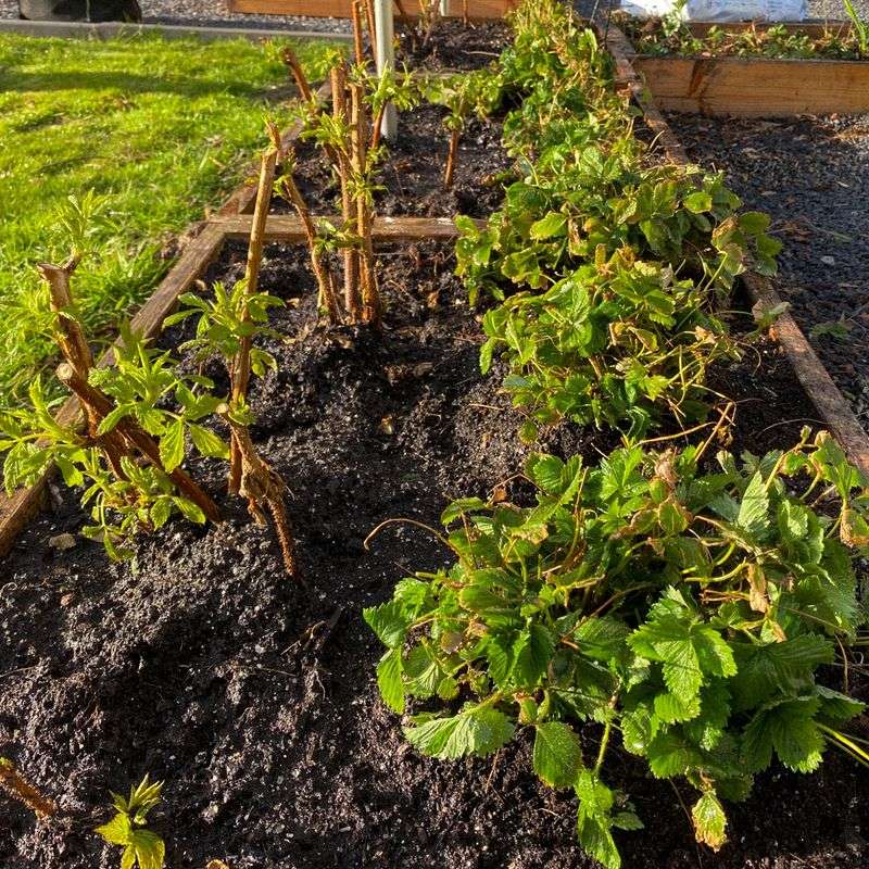 Keep Rows Narrow And Tidy