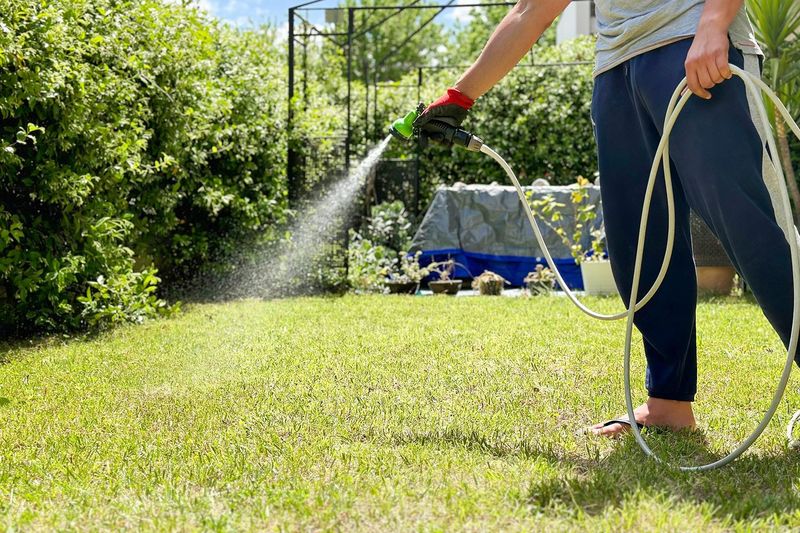 Keep Seed Moist Daily
