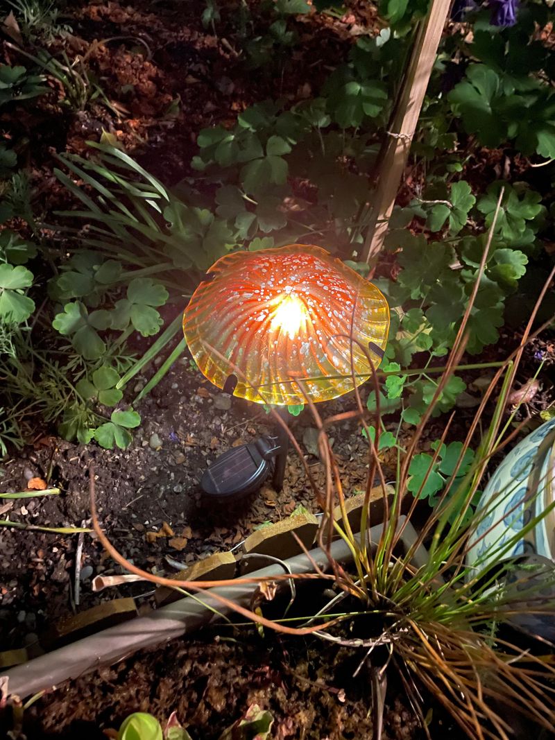 Keep Solar Lights Away From Blooms