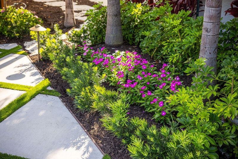 Keep Some Soil Moist But Not Soggy