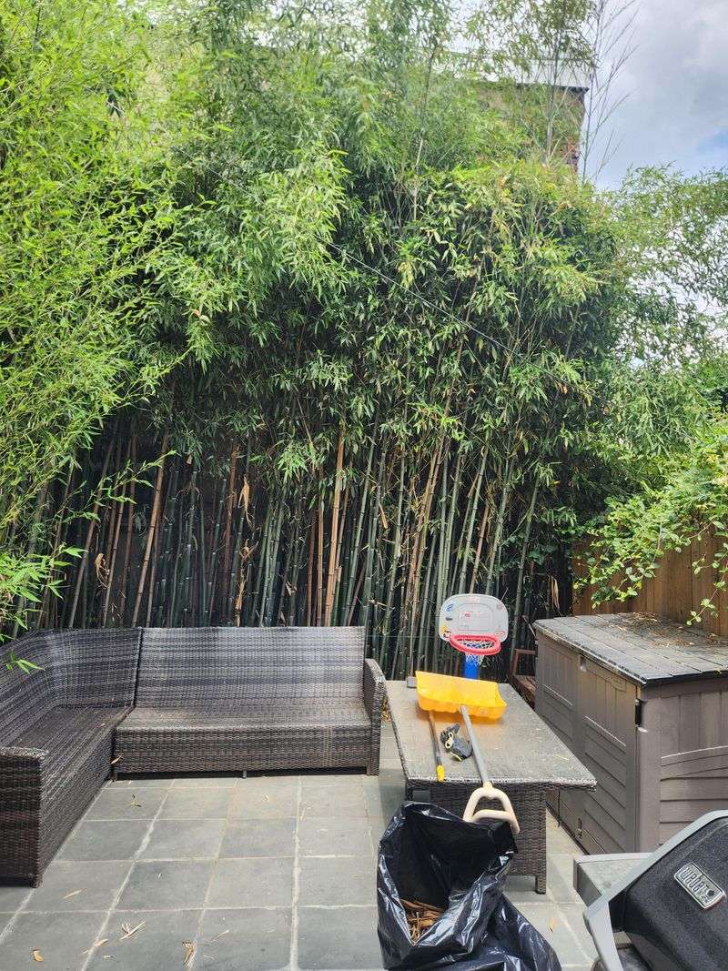 Keep This Privacy Upgrade On Your Side Of The Fence
