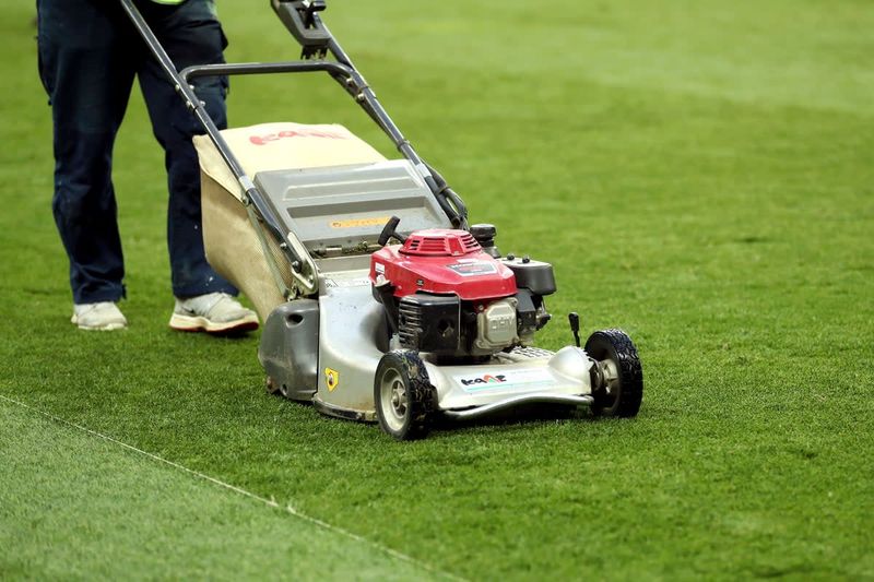 Keep Walkways And Play Areas Mowed