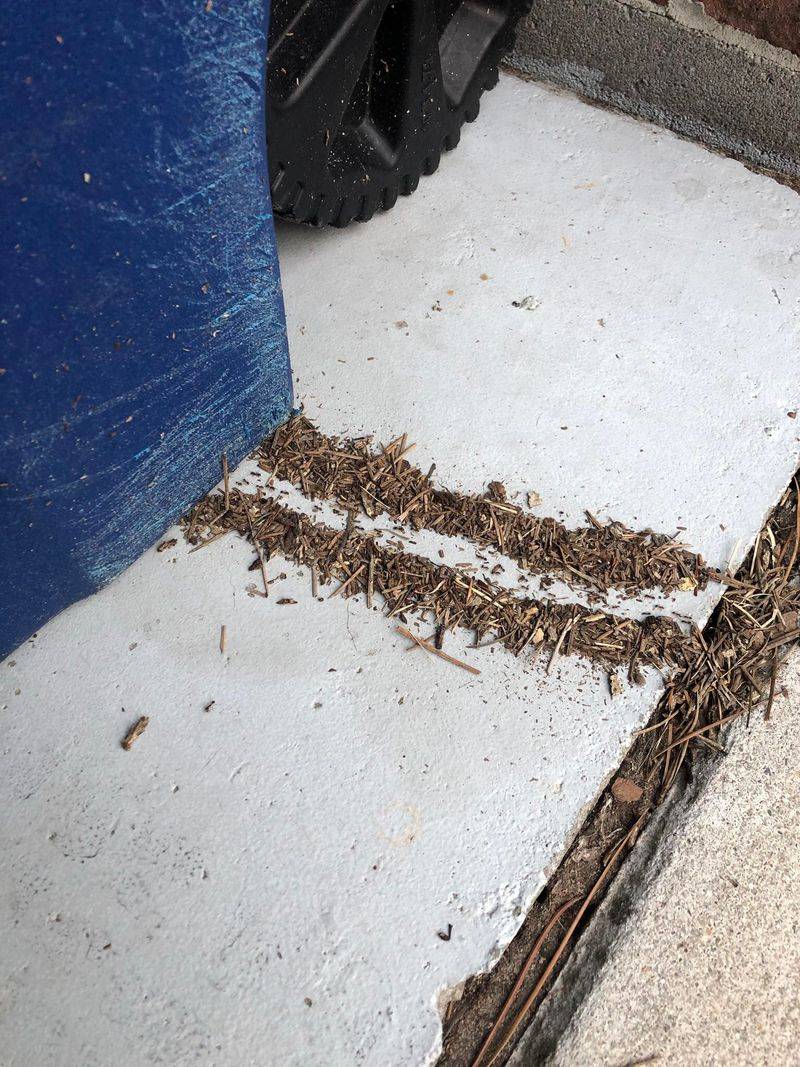 Keeping Trash Bins Too Close To Garden Beds