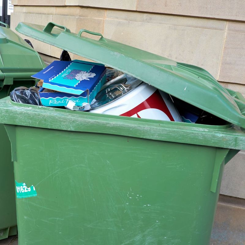 Keeping Trash Bins Unsealed