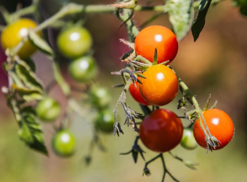 Kentucky's Wild Temperature Swings Are Doing More Damage Than You Think