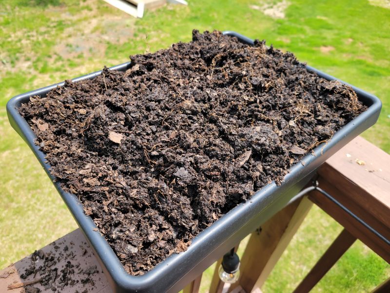 Know When Old Soil Is Too Tired For Seedlings Know When Old Soil Is Too Tired For Seedlings