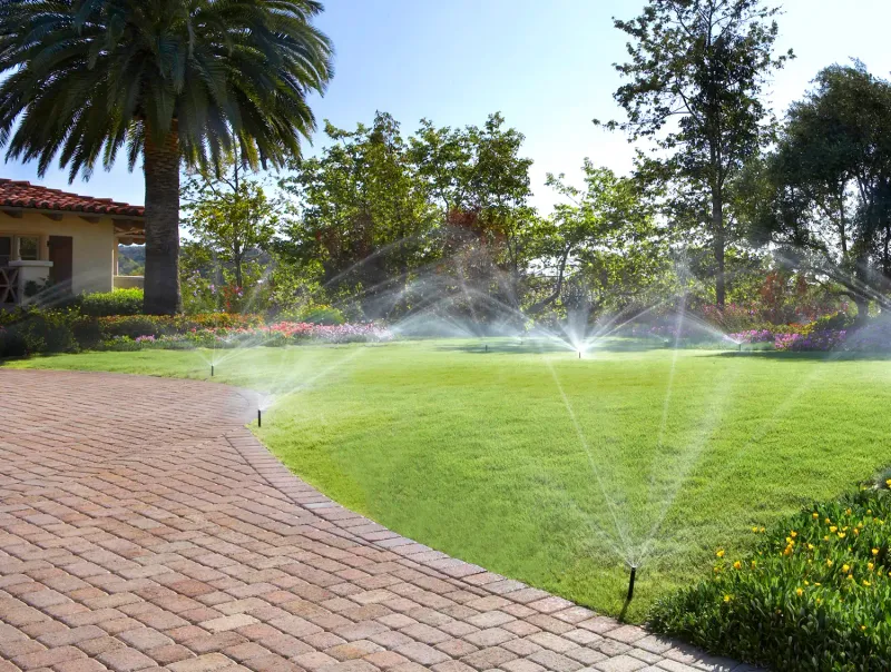 Landscape Beds May Get Too Much Turf Irrigation