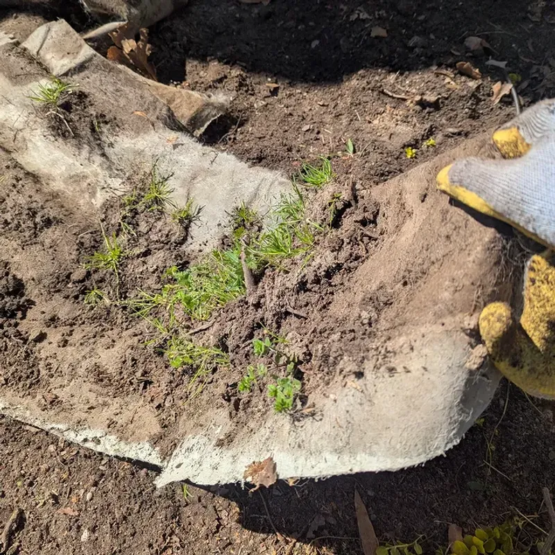 Landscape Fabric Makes Garden Beds Harder To Improve Landscape Fabric Makes Garden Beds Harder To Improve