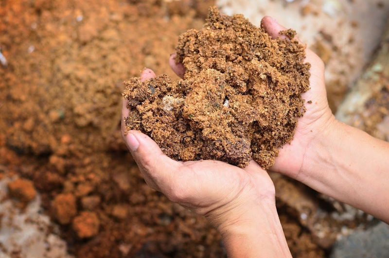 Large Amounts Of Sand In Clay Soil