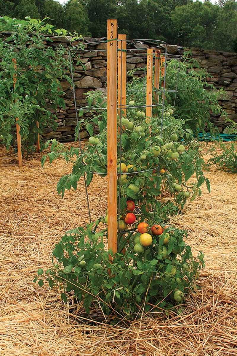 Late Staking Creates More Work Than Expected