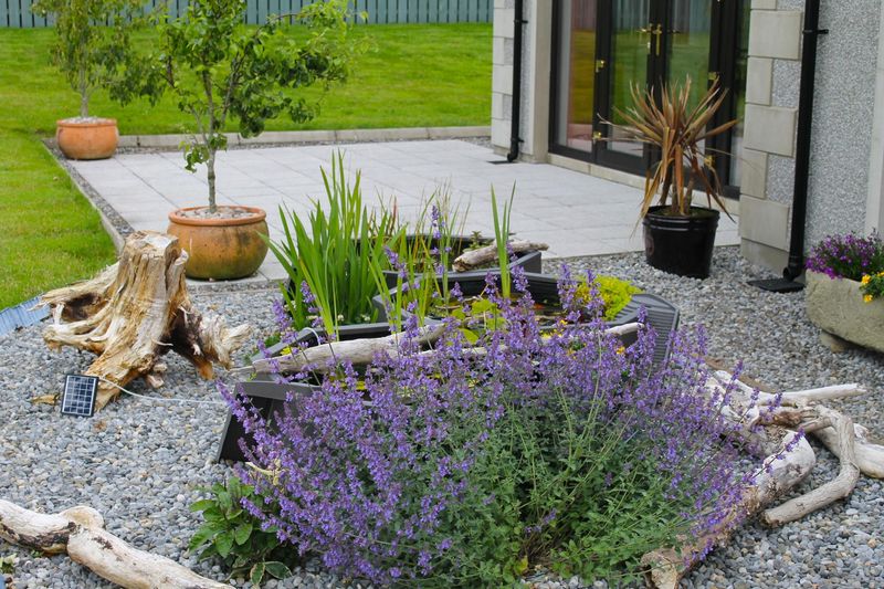 Lavender Makes Garden Edges Smell Amazing