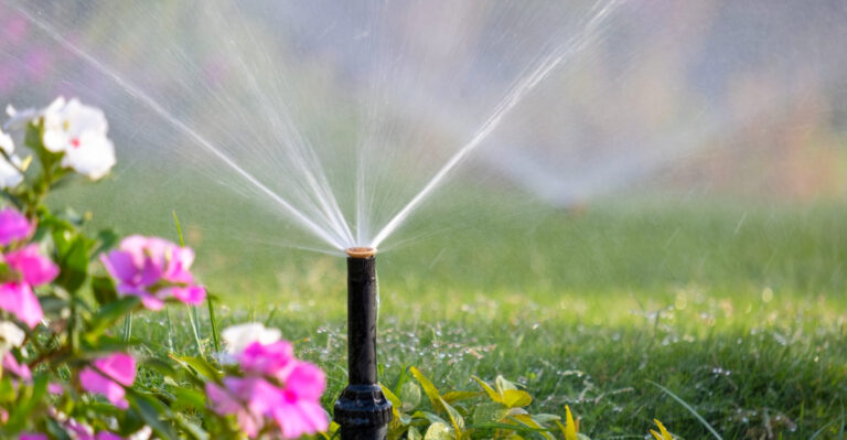 Lawn Watering Mistakes Some Floridians Tend To Make Every May