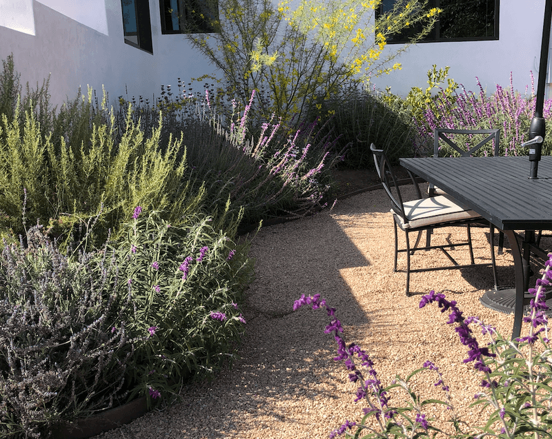 Layer Drought-Tolerant Plants Instead Of Filling The Space With Lawn