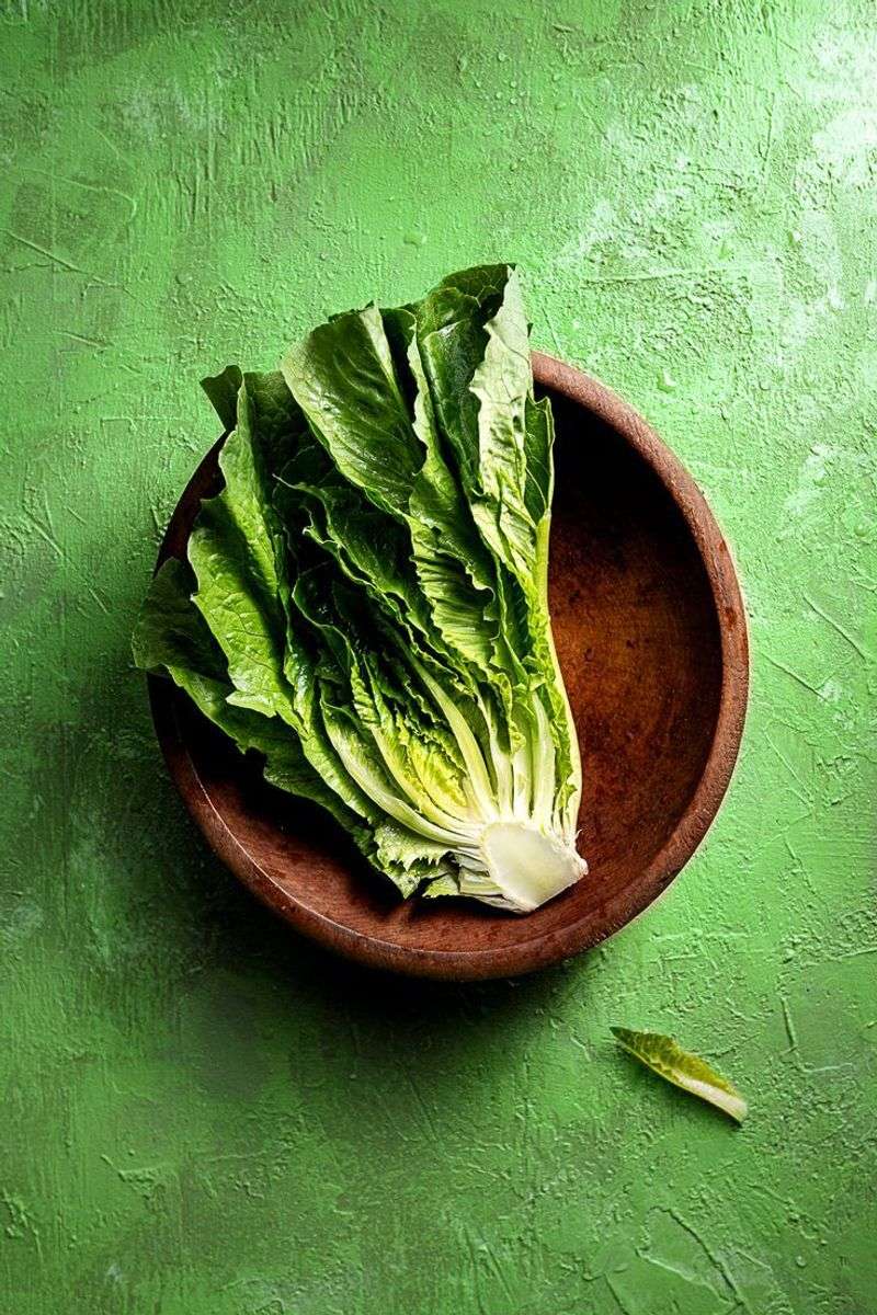 Leaf Lettuce