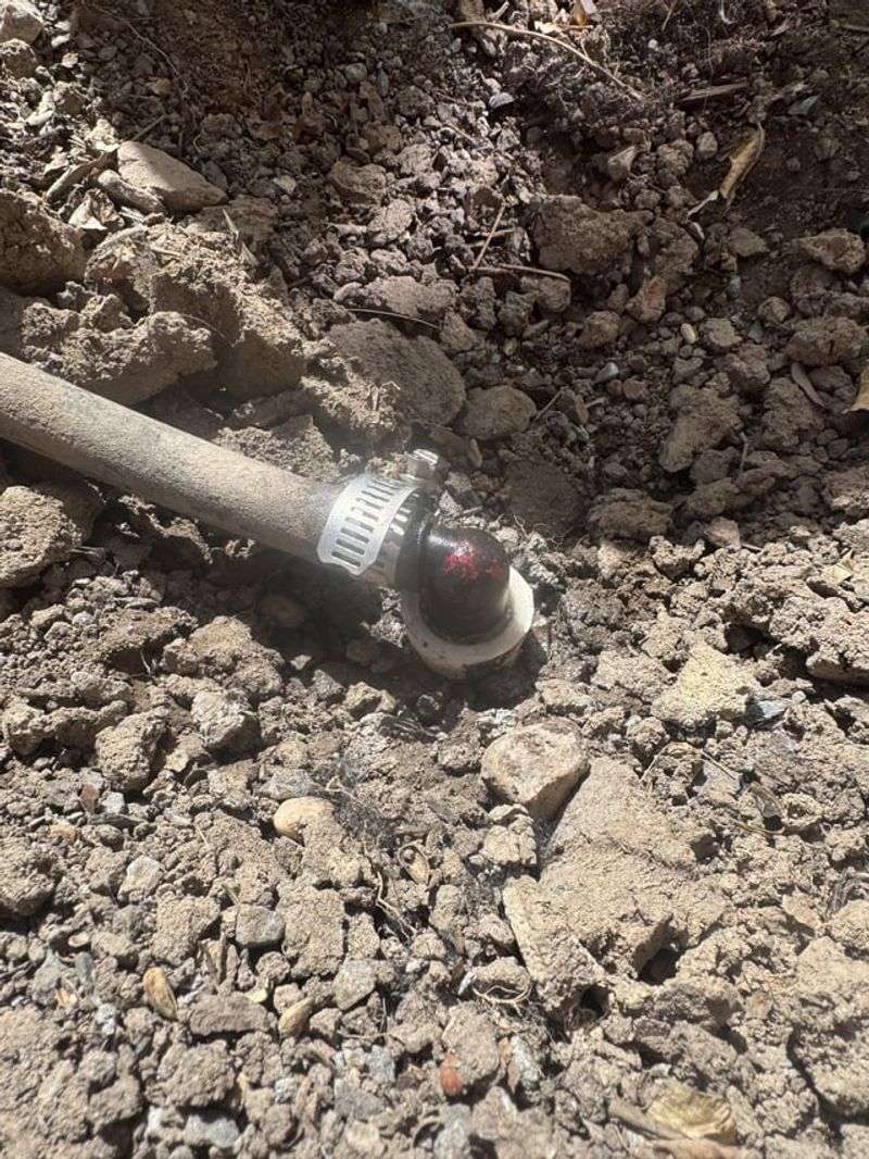 Leaking Irrigation Attracts More Bugs