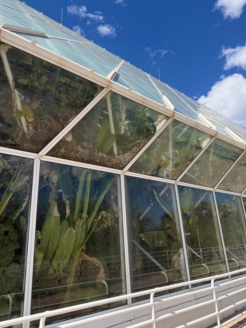 Lean To Greenhouse Placed On The East Side Of A Wall