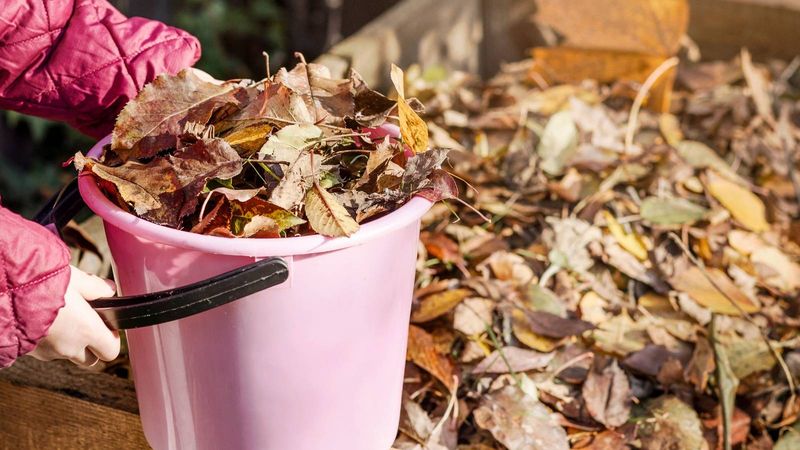 Leaves Build A Better Michigan Compost Pile