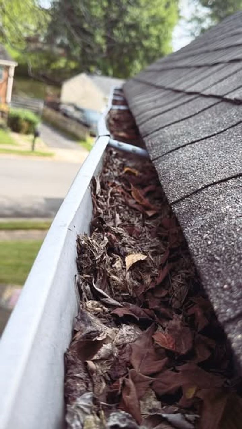 Leaving Gutters Clogged After Rain