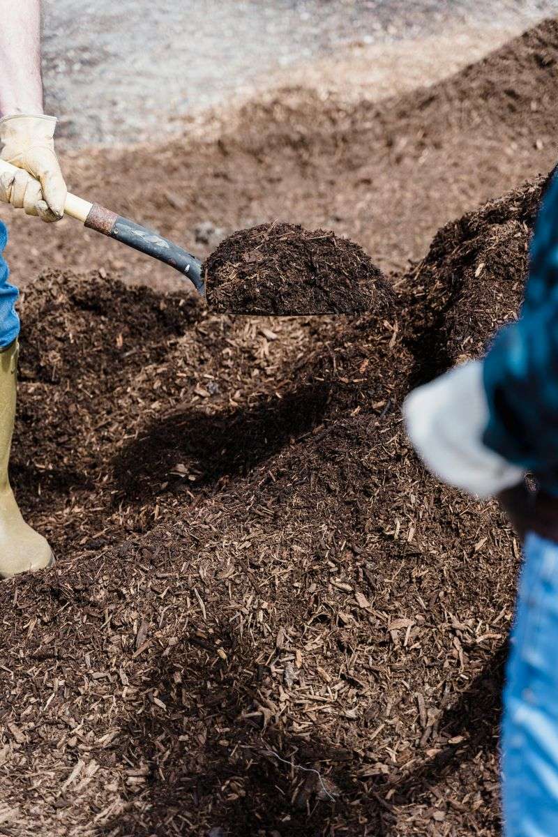 Leaving Old Mulch To Compact Without Refreshing It