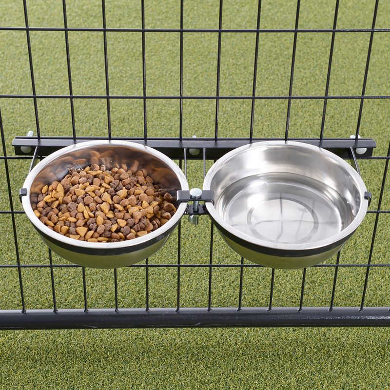Leaving Pet Food Outside Overnight