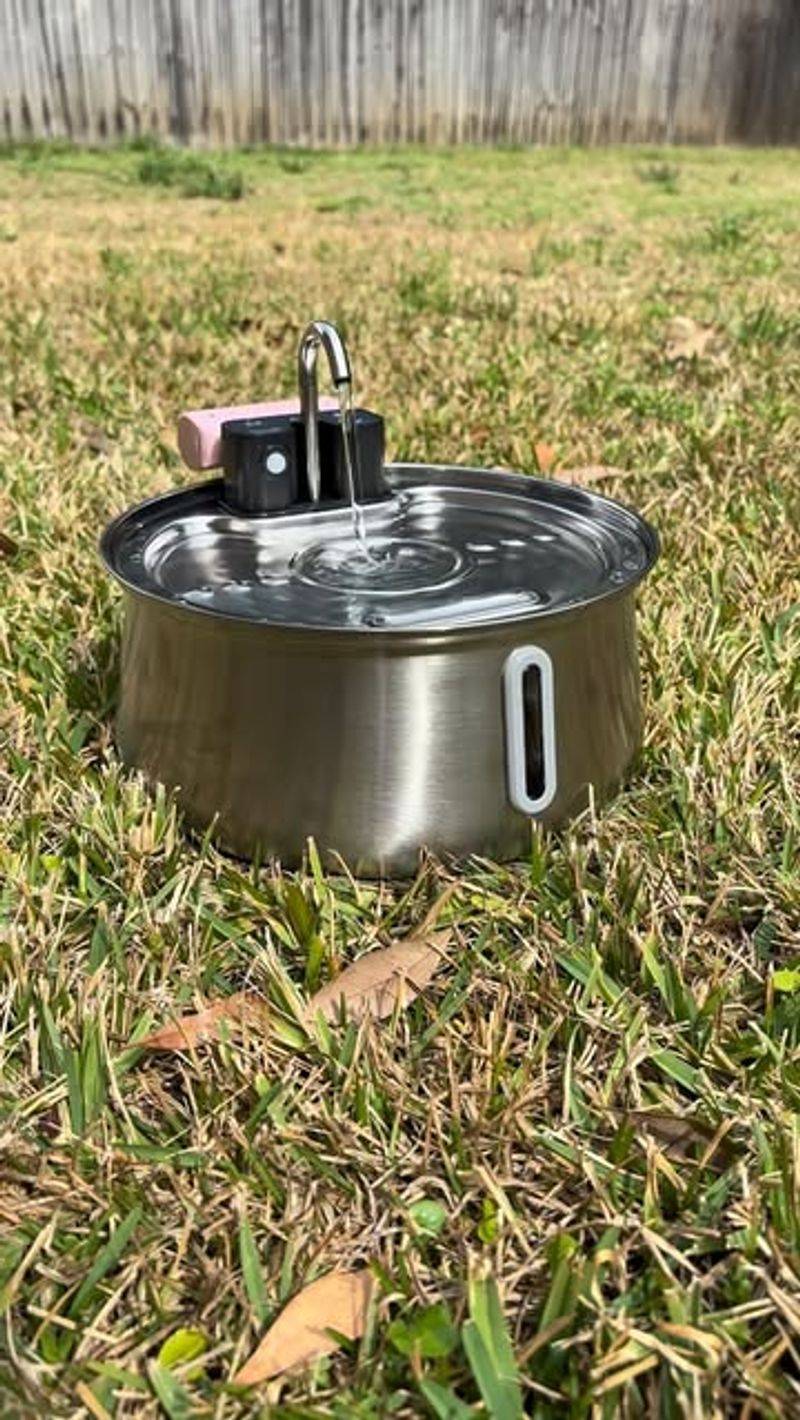 Leaving Pet Water Bowls Or Kiddie Pools Untended