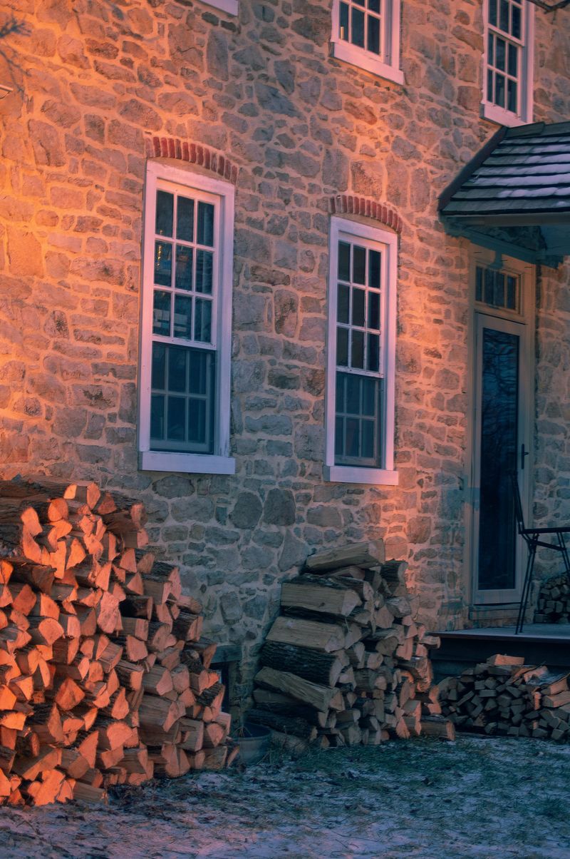 Leaving Wood Piles Near The House
