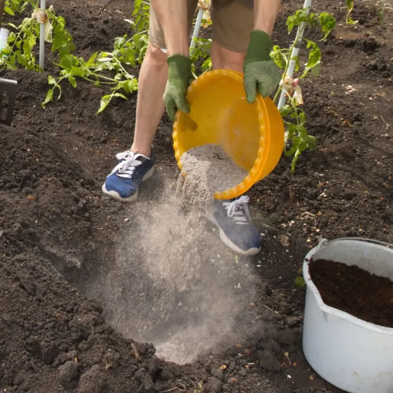 Let Tomatoes Benefit Only When pH And Potassium Are Low