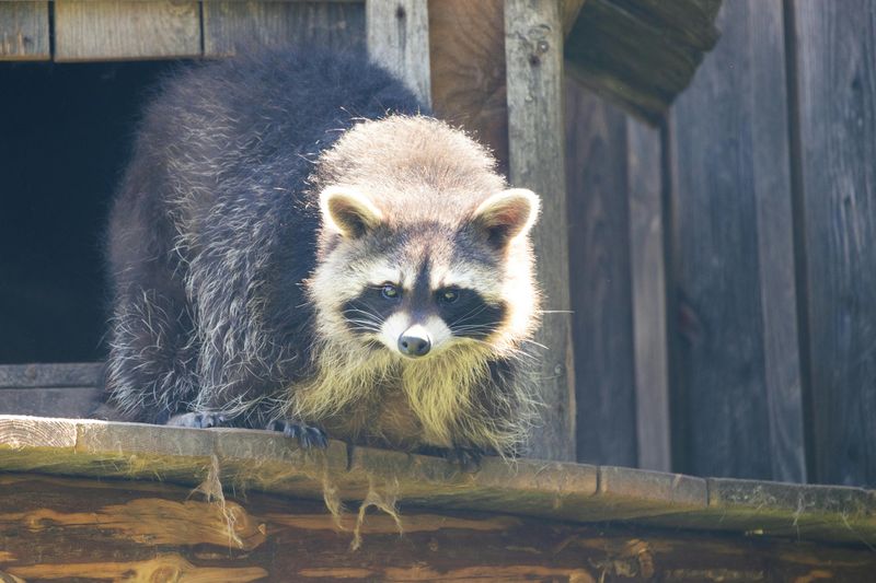 Long Term Habits That Keep Your Yard Less Inviting