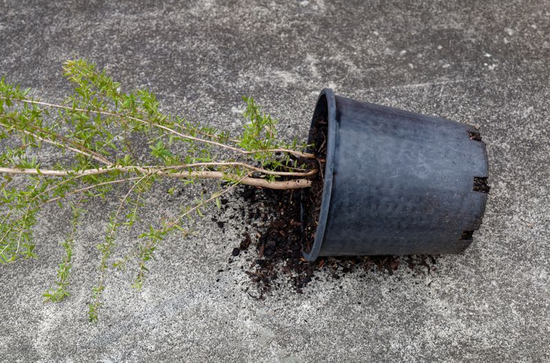 Loose Containers Before Strong Gusts Develop
