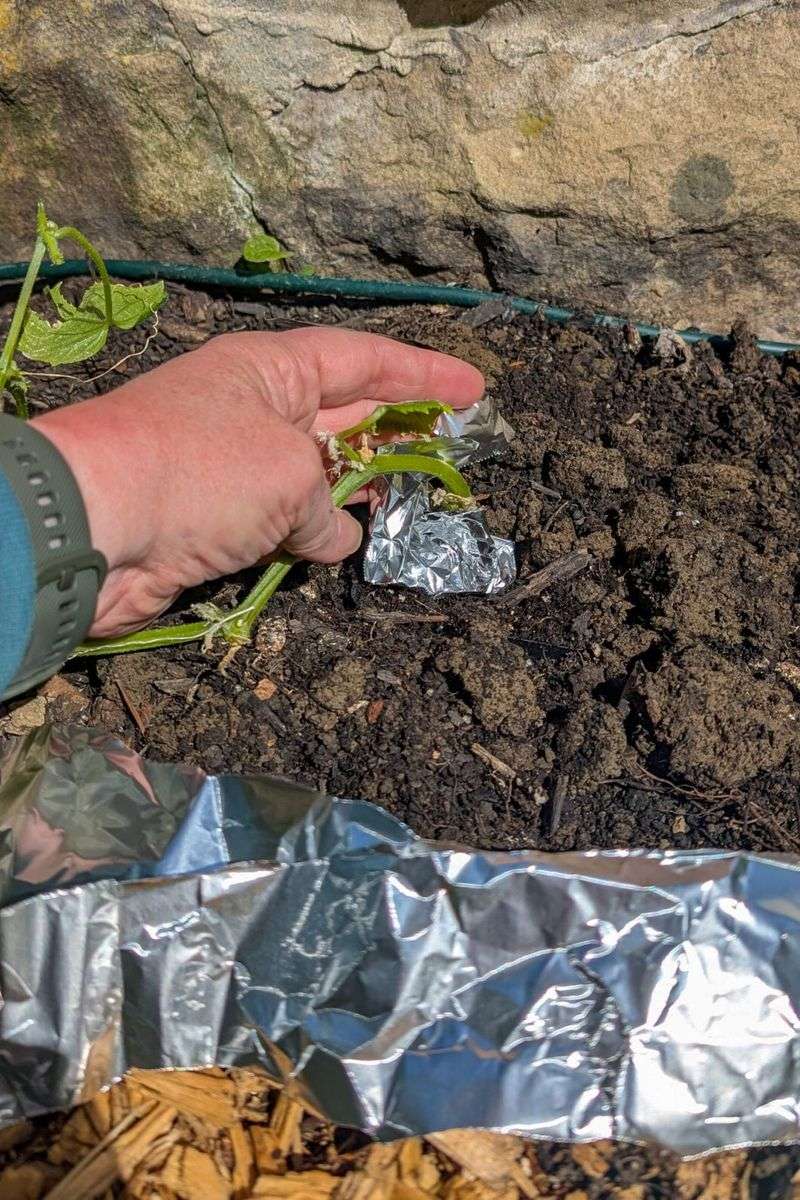 Loose Wrapping Matters More Than You Might Think