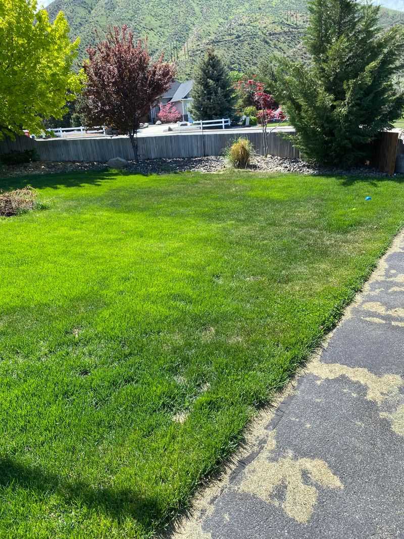 Loosen Bare Soil Patches