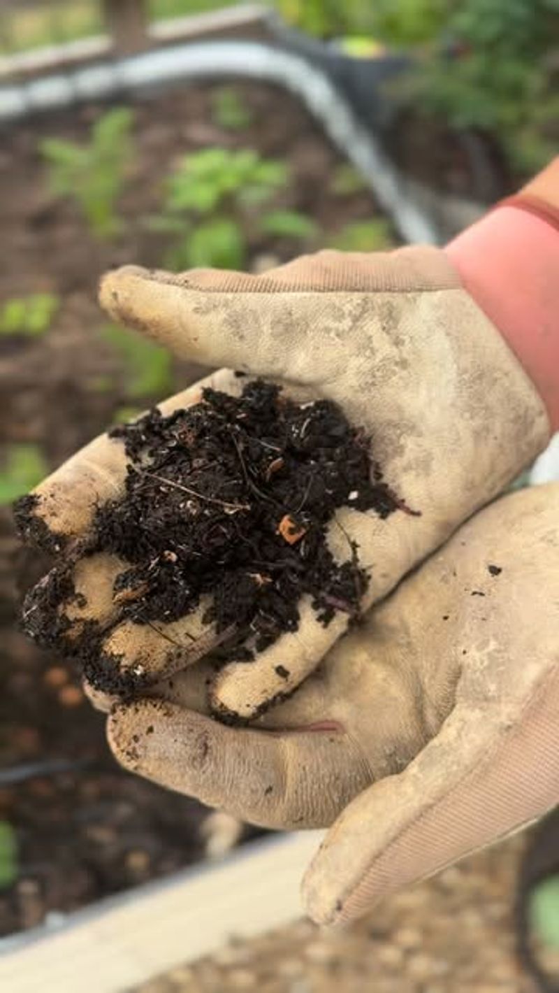 Loosen Compacted Soil Before Adding New Plants Loosen Compacted Soil Before Adding New Plants