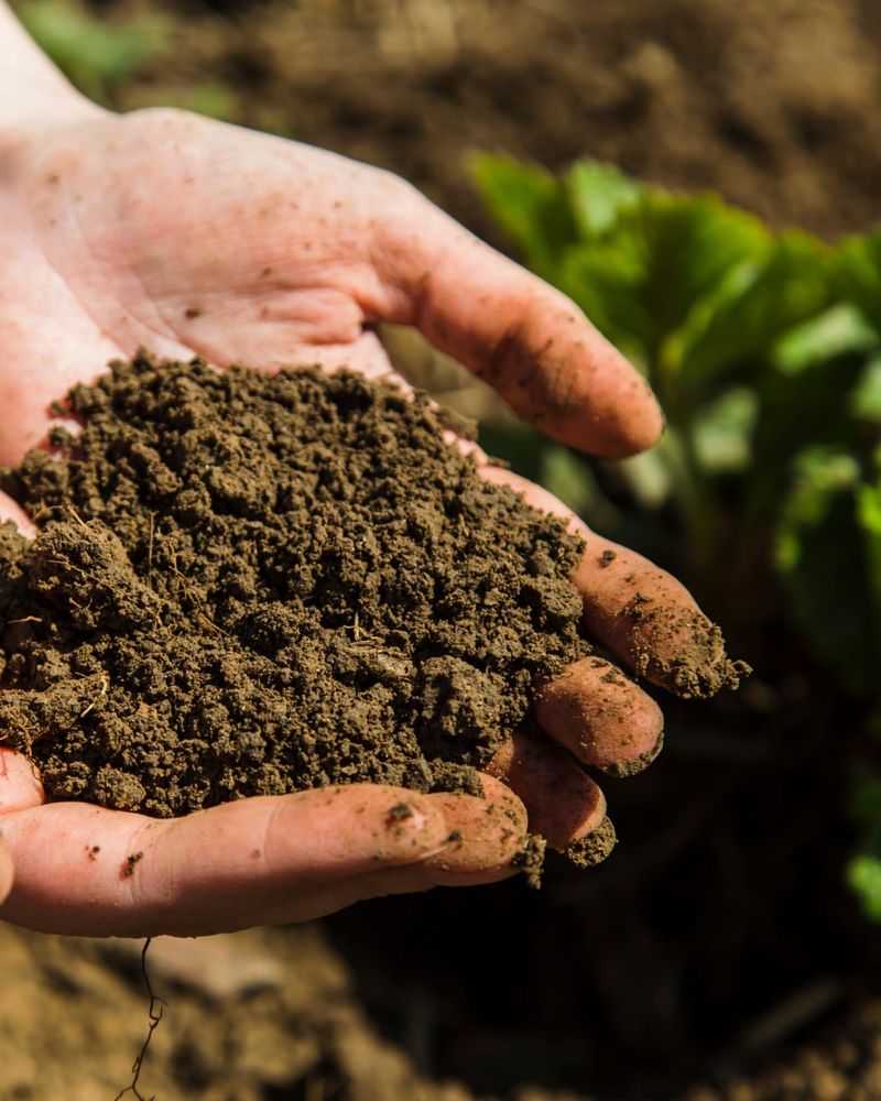 Maintaining Moist Soil During Dry Periods