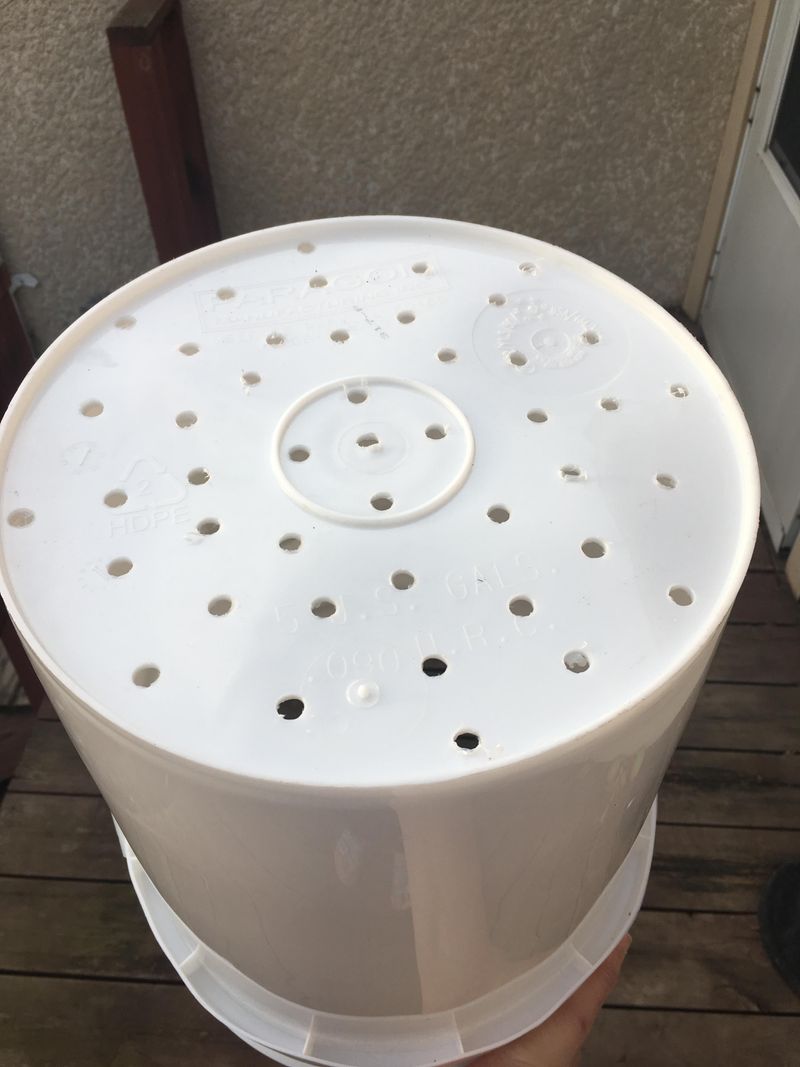 Make Sure The Container Has Drainage Holes