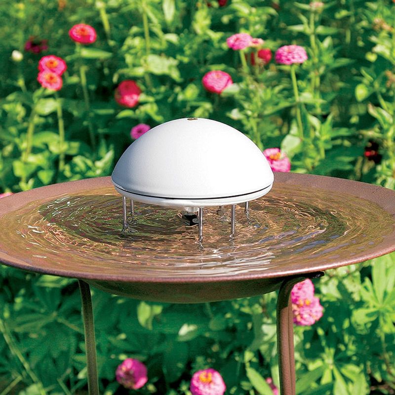Make Water Helpful, Not Mosquito Friendly