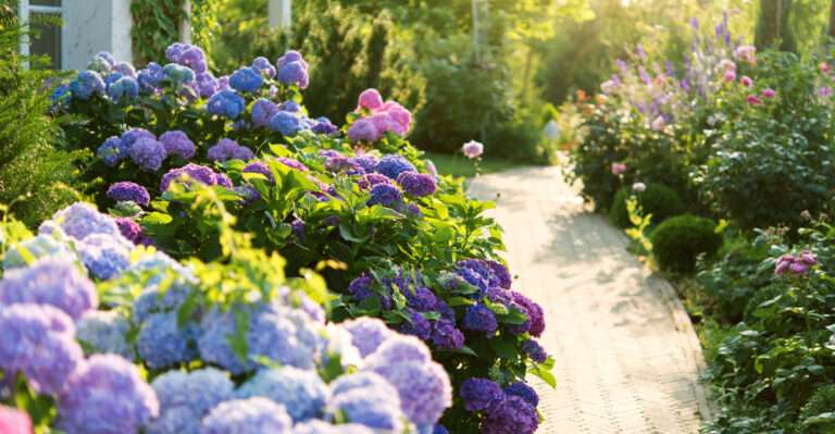 Maryland Front Yards Look Better With These Easy Plant Choices