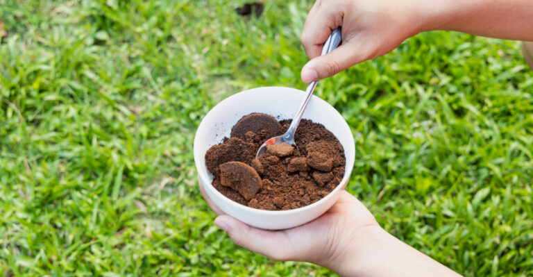 Michigan Gardeners Are Using Coffee Grounds In These Spots And The Results Are Hard To Ignore